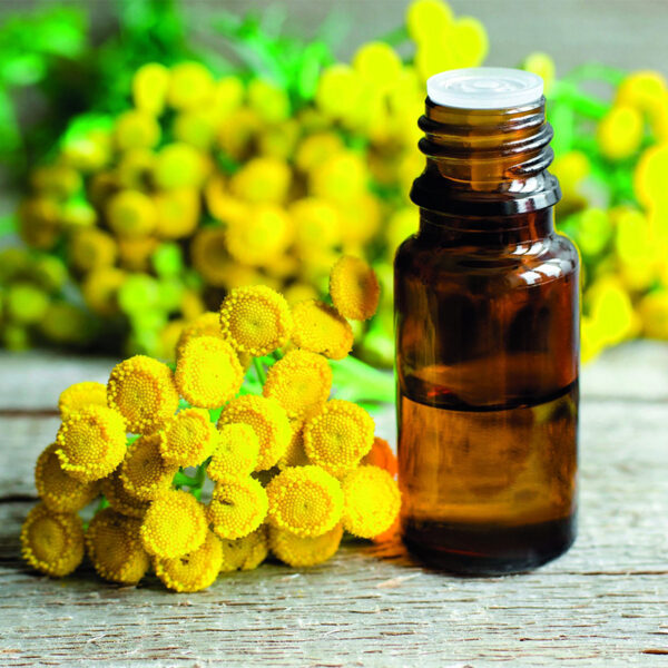 Basiswissen Aromatherapie